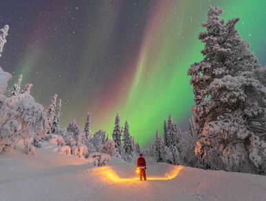 Person in red stands on snowy path under vibrant northern lights.