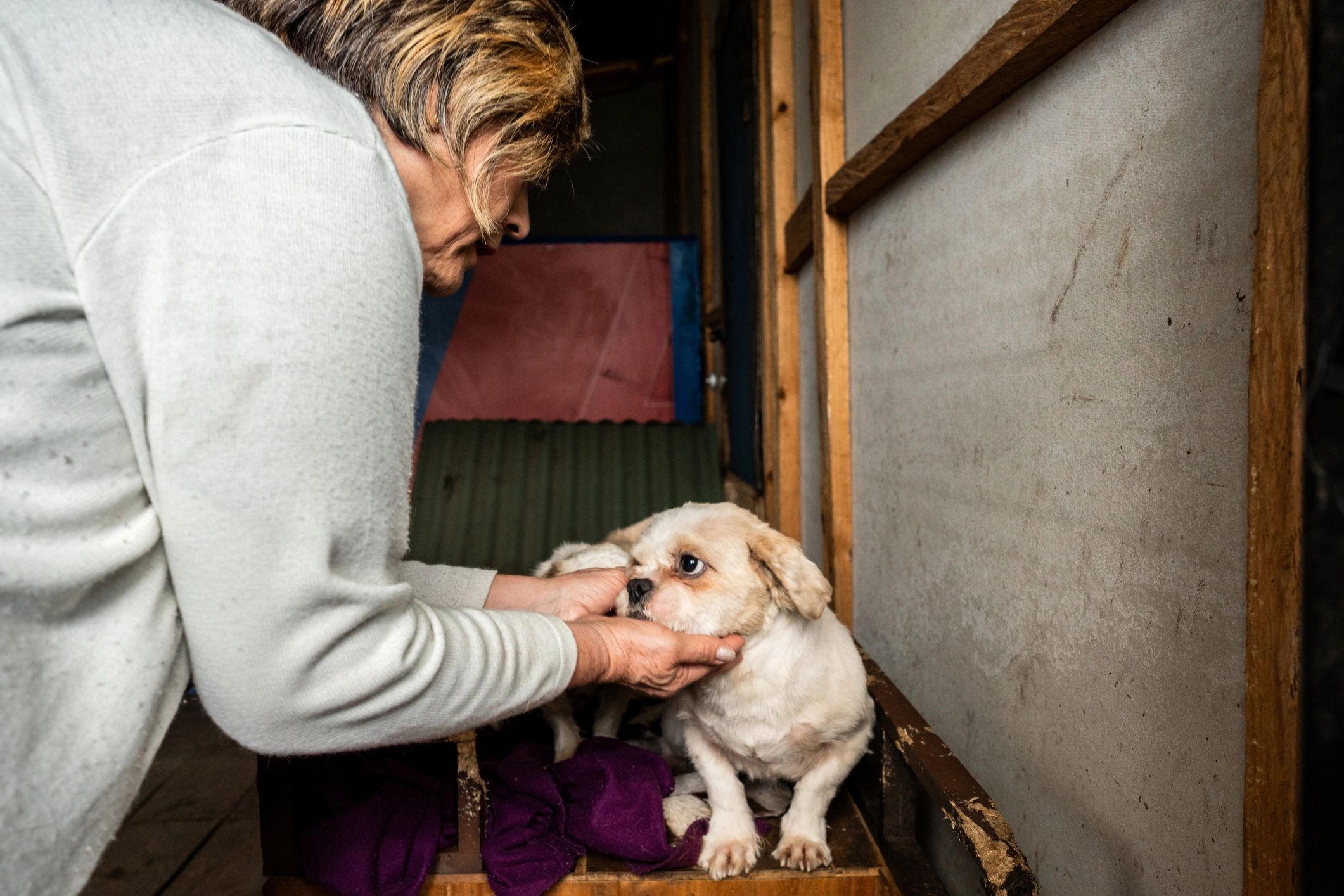 Doggie Rescue Ranch