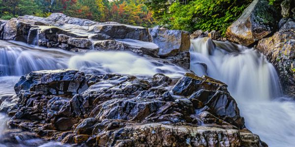 Water flowing over rocks in a forest stream.