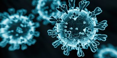 Close-up illustration of coronavirus particles with spike proteins.