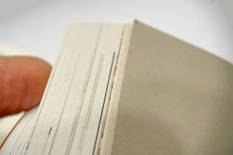 Detailed View of Book Pages. Shows a close-up of a person's fingers grasping the pages of a thick book. The texture and edges of the pages are clearly highlighted thanks to the shallow depth of field.