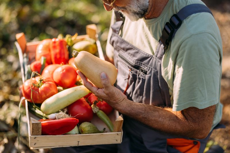 A farmer examines a selection of freshly harvested organic vegetables including tomatoes, zucchinis, and bell peppers, highlighting the concept of sustainable agriculture.
