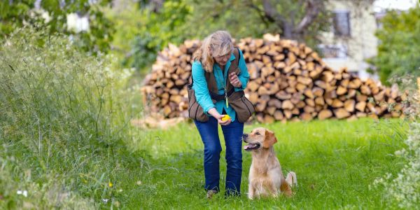 Woman playing fetch with her golden retriever outside.