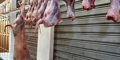 Goat meat in a slaughter house