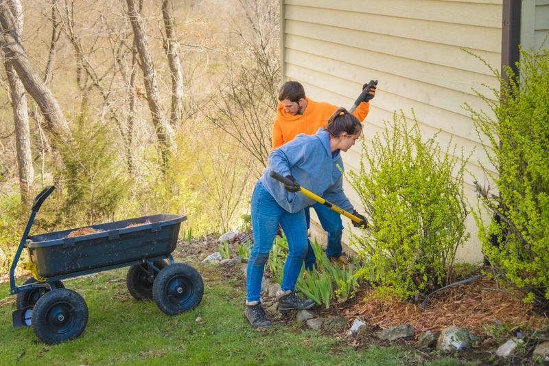 Young man and woman landscapers cleaning flower bed in on side of house in midwestern suburb