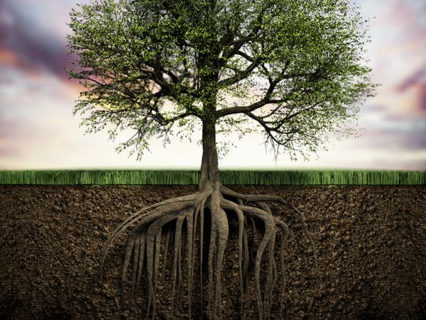 Picture of structure of