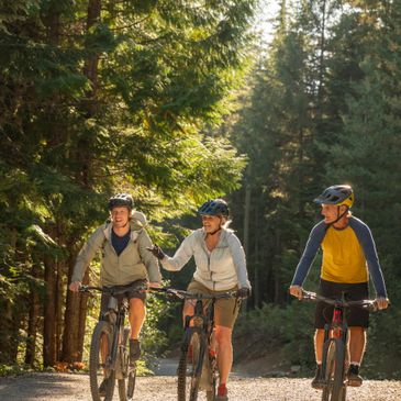 Three people mountain biking on a forest trail in sunlight.