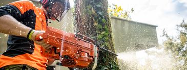 Winter tree services promote healthier growth and safety while saving time and money. Support local!