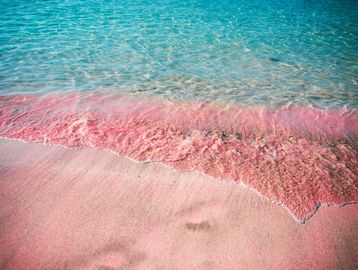 A beach with unique pink sand and clear blue water.
