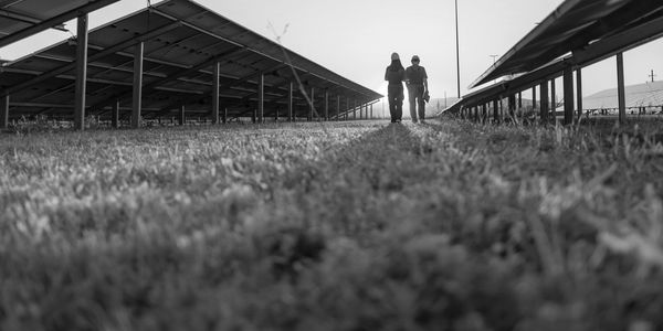 Two workers walking between solar panels at sunset.