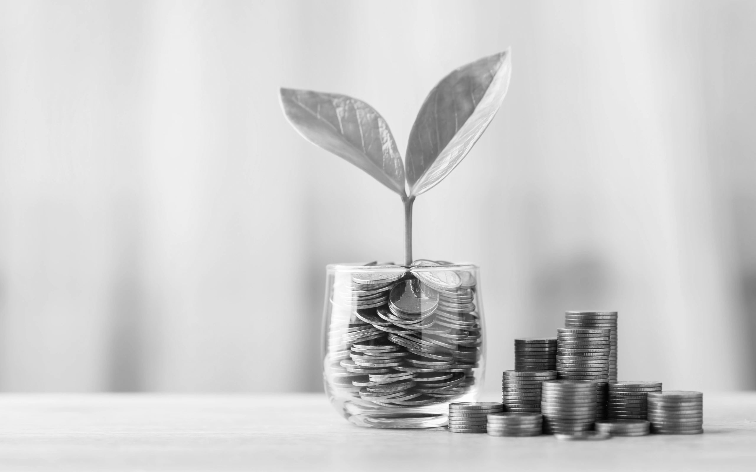 A plant growing from a glass filled with coins, symbolizing financial growth.
