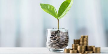 A tree growing out of a pot of coins.