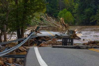 Road blocked by fallen tree and debris after flood.