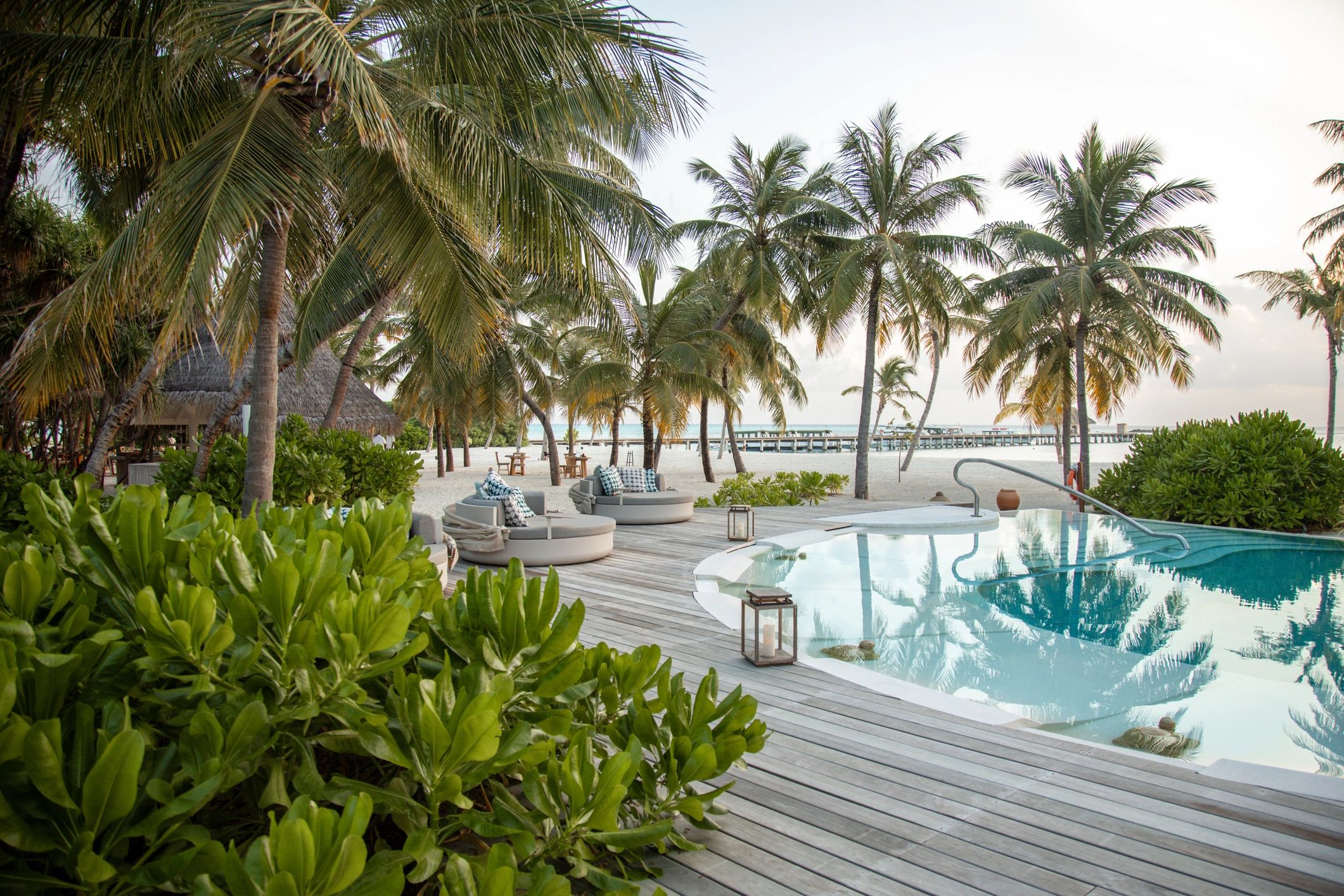 Tropical resort poolside with palm trees and lounge seating.