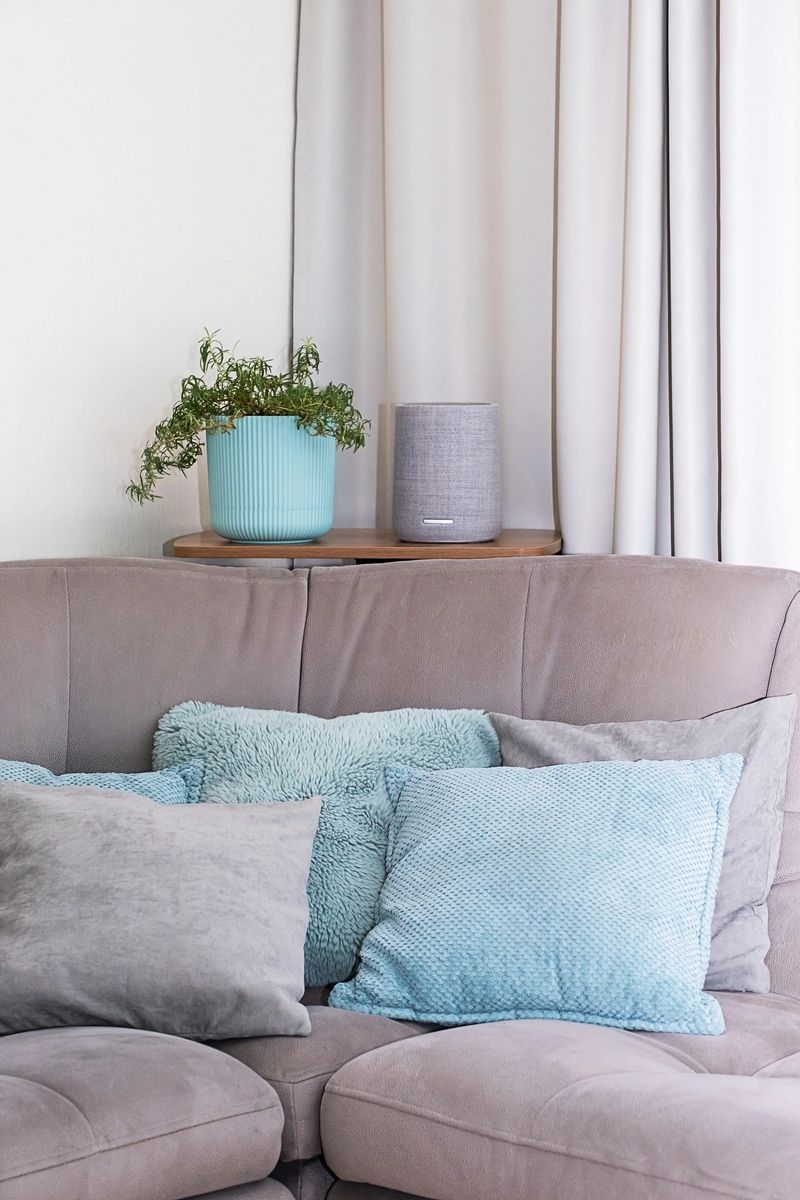Cozy living room with potted plant and smart speaker on side table.