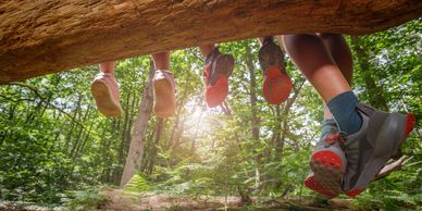 Four people sitting on a fallen tree in the forest with their feet dangling.