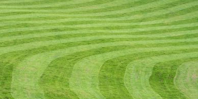 Lawn maintenence spring , summer , winter and fall give us a call for yearly contracts 
