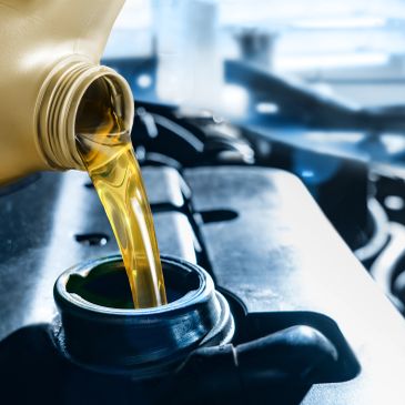 Routine maintenance and oil change service in Valrico, FL.