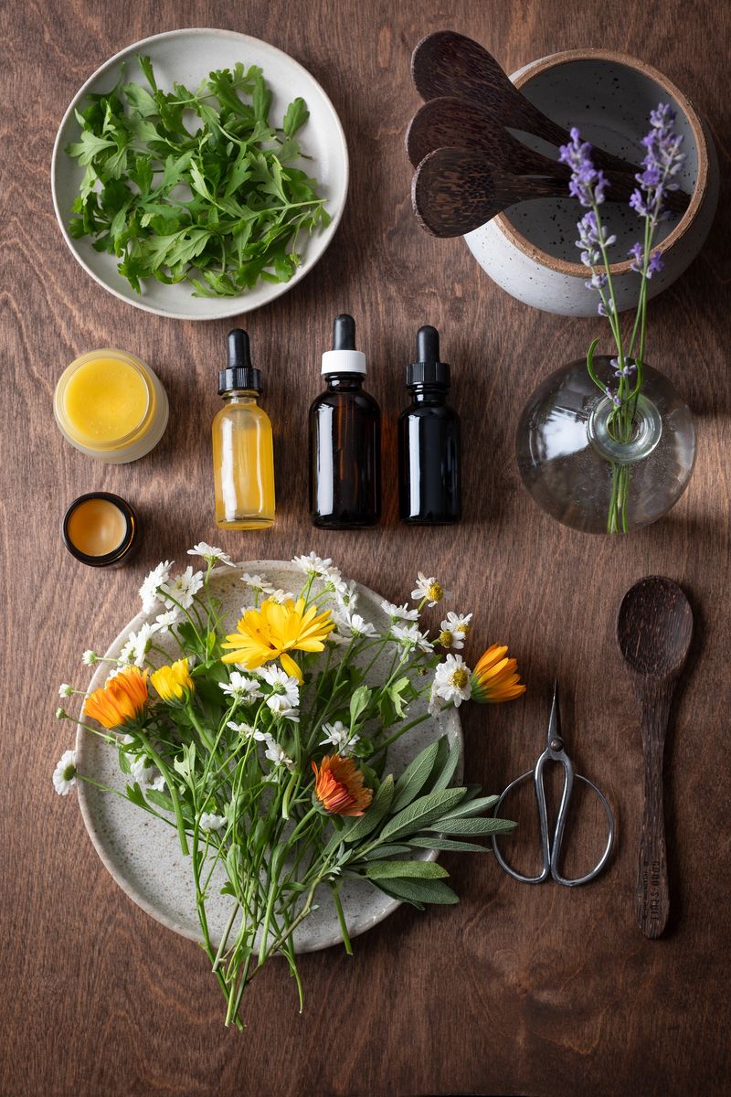 Freshly picked organically homegrown herbs (feverfew, calendula, sage & lavender) used to make herbal medicine (tinctures) and beauty products (aromatherapy oils and salves).  Vancouver, British Columbia, Canada.
