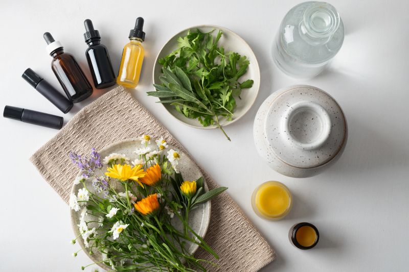 Freshly picked organically homegrown herbs (feverfew, calendula, sage & lavender) used to make herbal medicine (tinctures) and beauty products (aromatherapy oils and salves).  Vancouver, British Columbia, Canada.