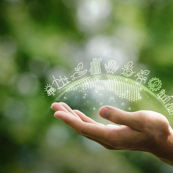 Hand holding a digital globe with sustainability icons against a green background.