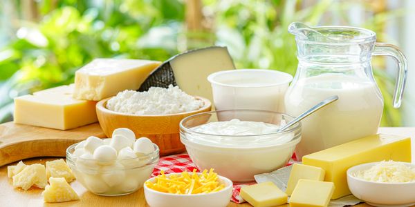 a range of dairy products including milk, cheeses and yogurts