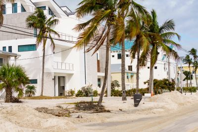 White buildings and palm trees on a sandy beach.