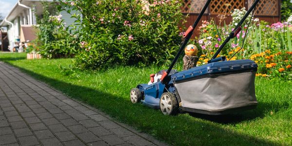 Electric lawn mower on a garden lawn beside a paved path.