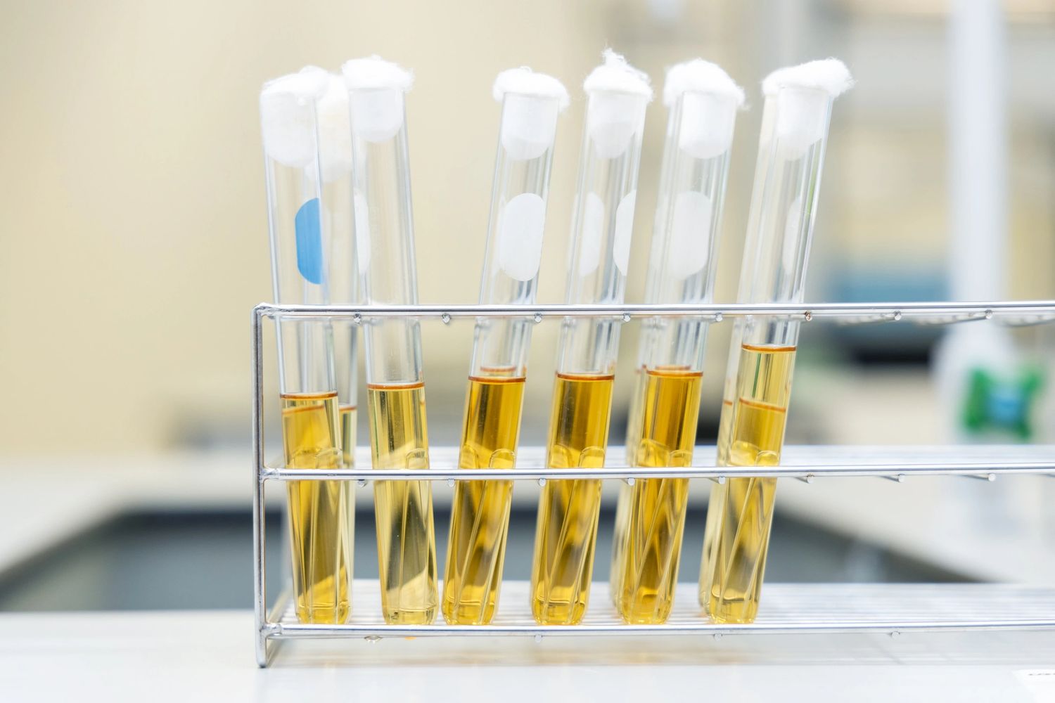 Six test tubes containing yellow liquid standing in a rack. 