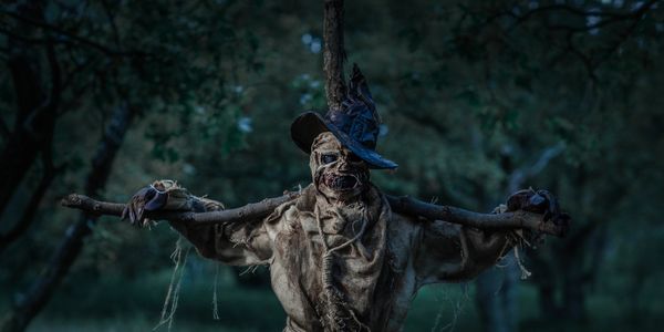 Eerie scarecrow standing in a foggy, dark forest clearing.