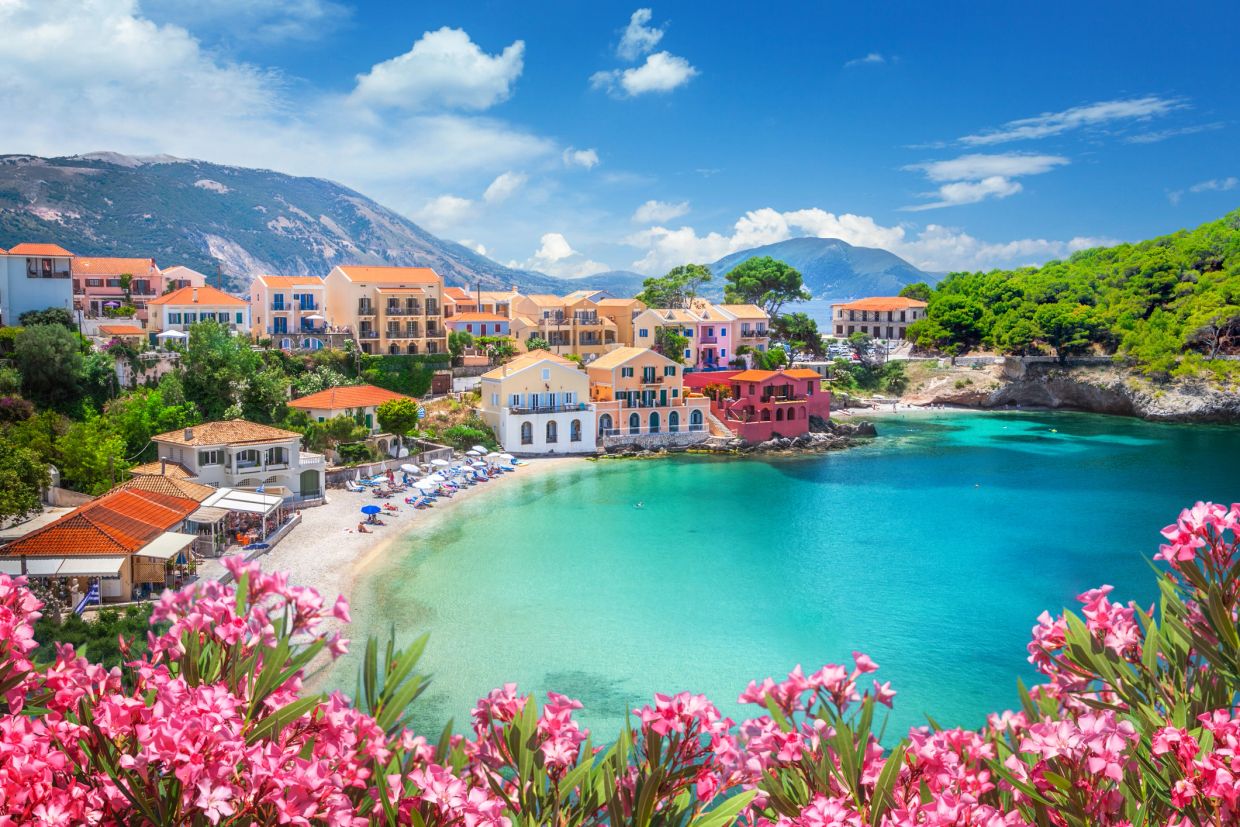Colorful coastal village with turquoise waters and pink flowers in foreground.