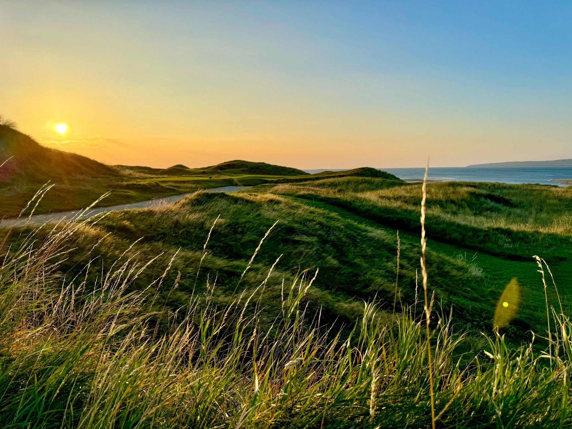 Sunset over grassy dunes near the sea.