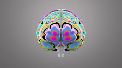 Colorful 3D brain model with vibrant neural patterns on gray background.