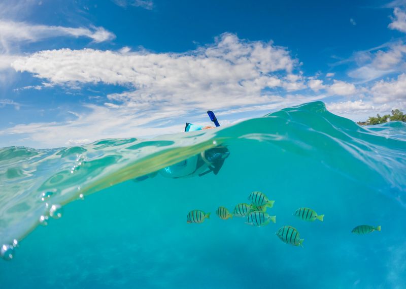 A 9 year old boy snorkeling in Maui, HI