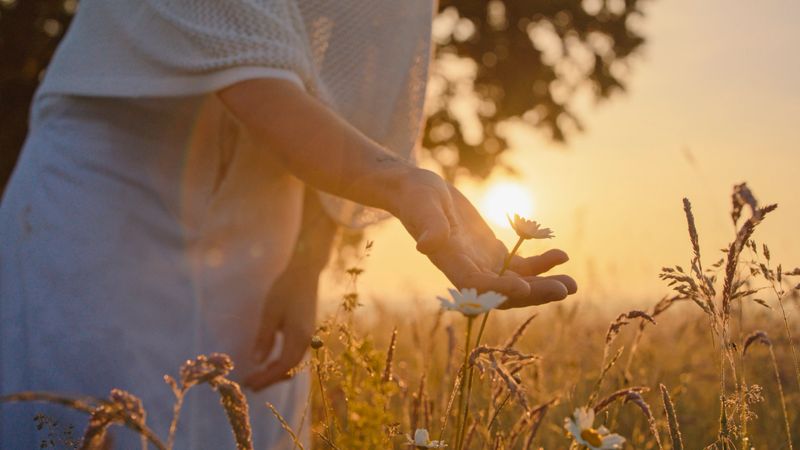 A relaxed Caucasian woman in casual attire gently touches wildflowers, bathed in the warm glow of a setting sun, evoking a sense of tranquility in a natural meadow setting.
