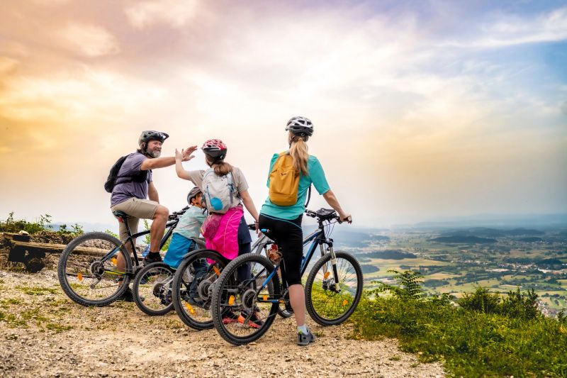 A joyful Caucasian family with bicycles celebrates their mountain climb achievement, admiring the expansive landscape from the summit.