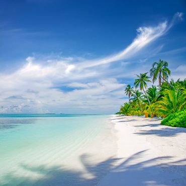 Tropical beach with clear turquoise water and palm trees under a blue sky.