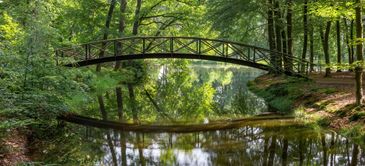 A bridge over a river surrounded by greenery