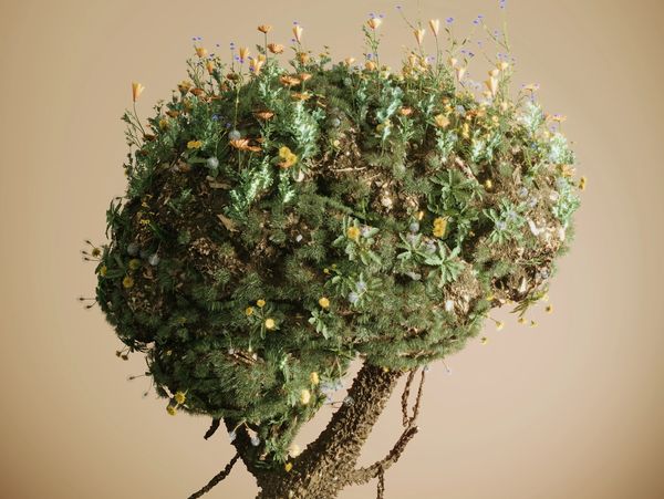 A brain-shaped tree covered with flowers and moss against a beige background.