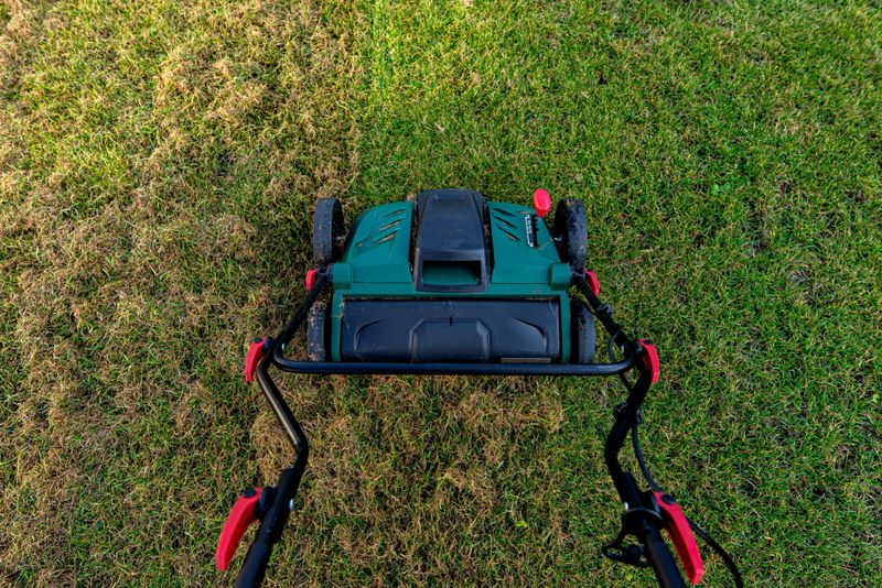 Scarifying the lawn before the winter season using an electric scarifier.