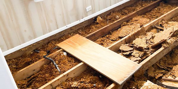 Floorboards removed revealing damaged wood and rot.