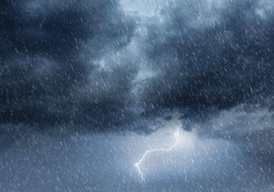 LBI STORM UPDATE | 
Flooding • Road Access • Emergency Information