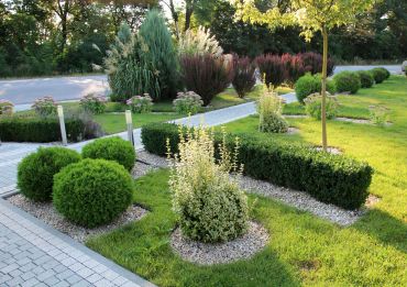 Well-maintained garden with various shrubs and a paved walkway.