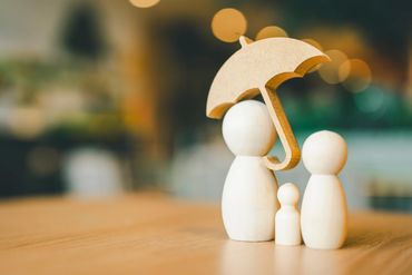 Family & Individual Policies