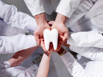 Hands holding a large model of a tooth.