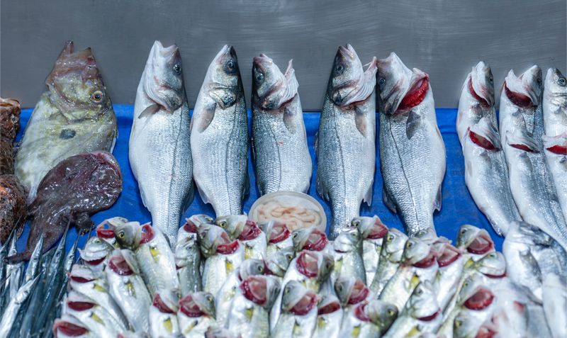 Fresh bonito, blue fish, lufer at a stall in local fish market in Istanbul, Turkey