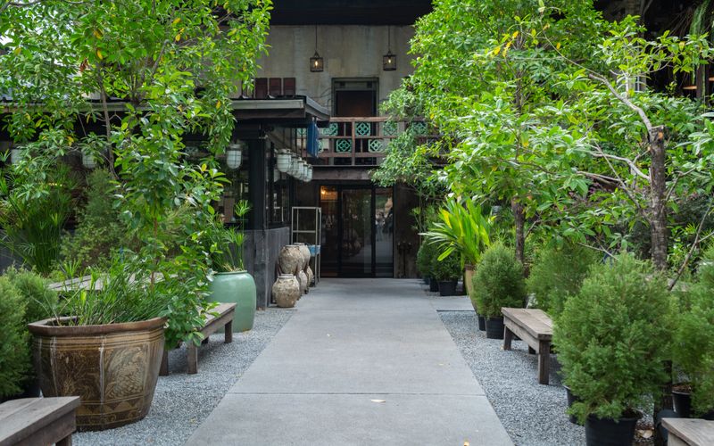 Landscape garden design walkway with planting.