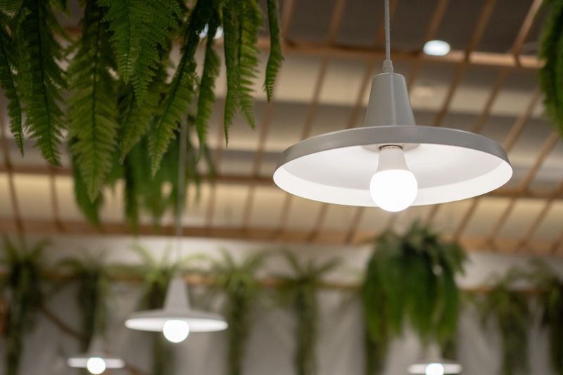 A white light fixture with a bulb is hanging from the ceiling. The light fixture is surrounded by green plants, giving the room a natural and calming atmosphere