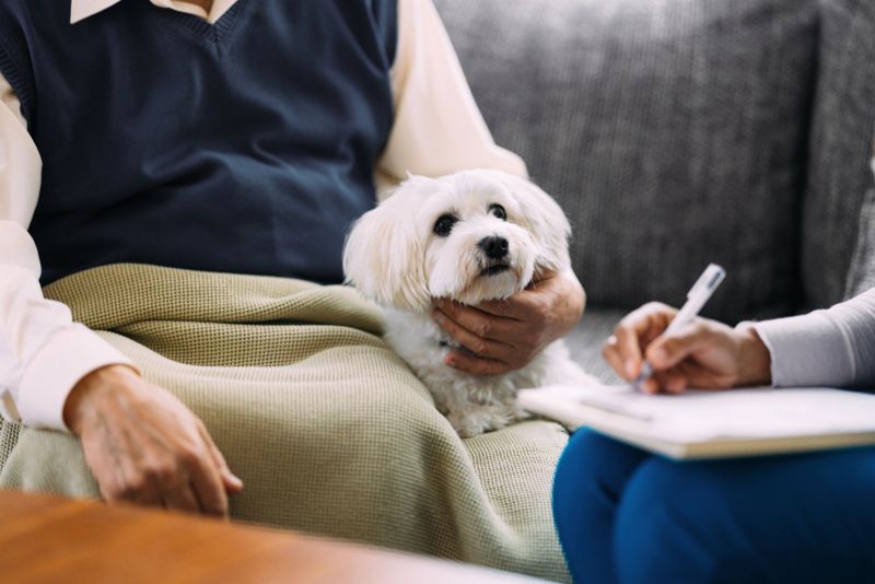 An elderly man sits comfortably with his white dog on his lap during a home therapy session, creating an atmosphere of warmth and companionship.
