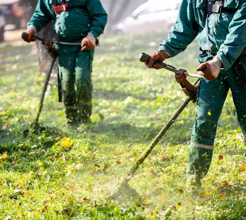 Lush greenery and vibrant flowers surrounding a garden path.